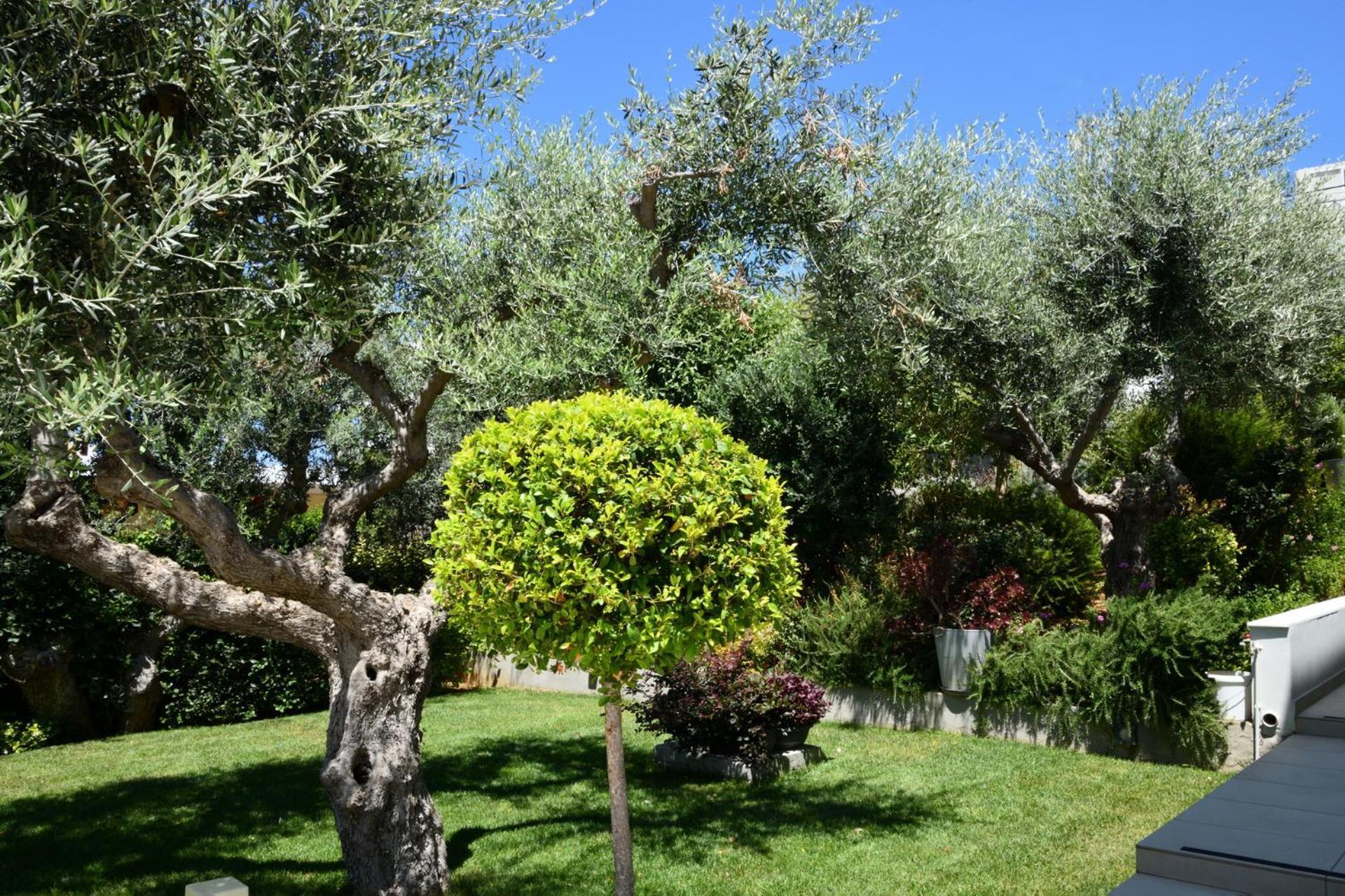 Sunlight Breeze Villa Chania  Екстер'єр фото